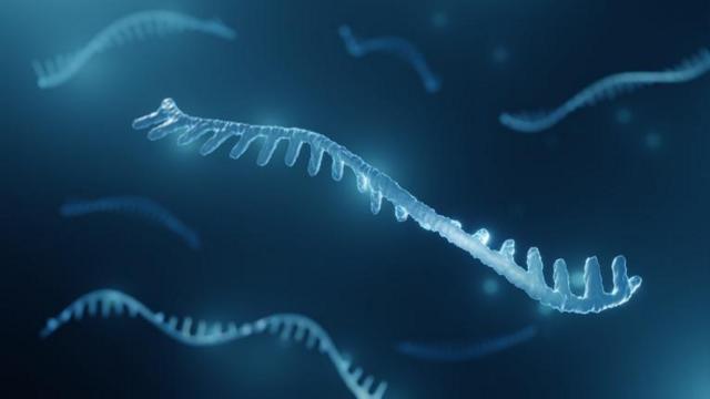 Fitablaze aposta o que émRNA