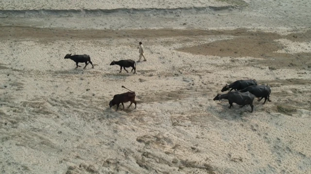 ਬਖ਼ਸ਼ੀਸ਼ ਸਿੰਘ 