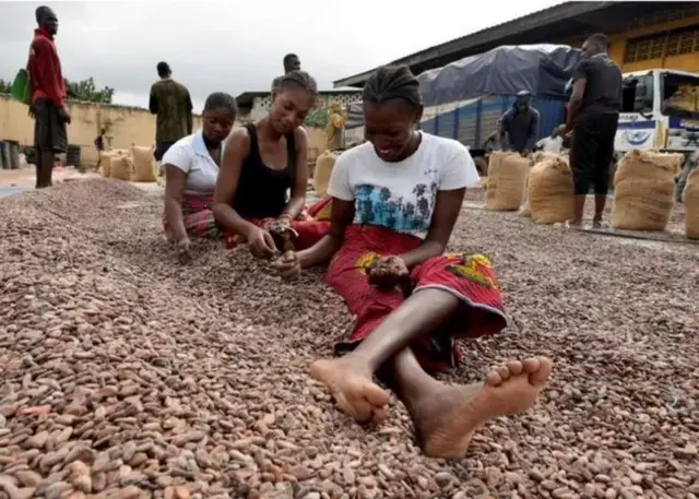 Des femmes traitant le cacao au Ghana
