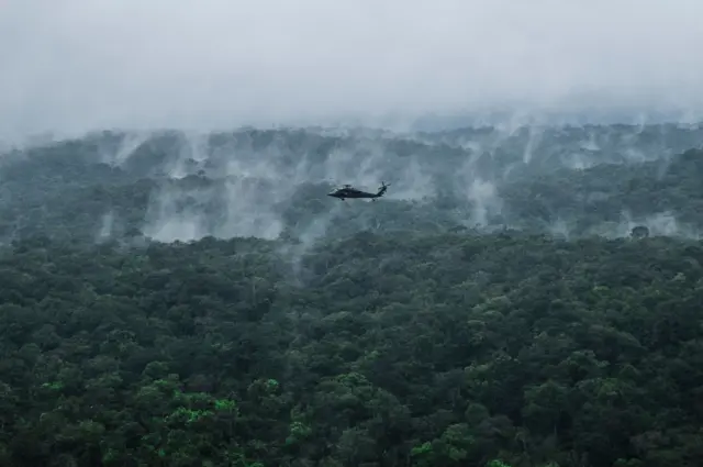 Helicópterodattani pokercimadattani pokerfloresta