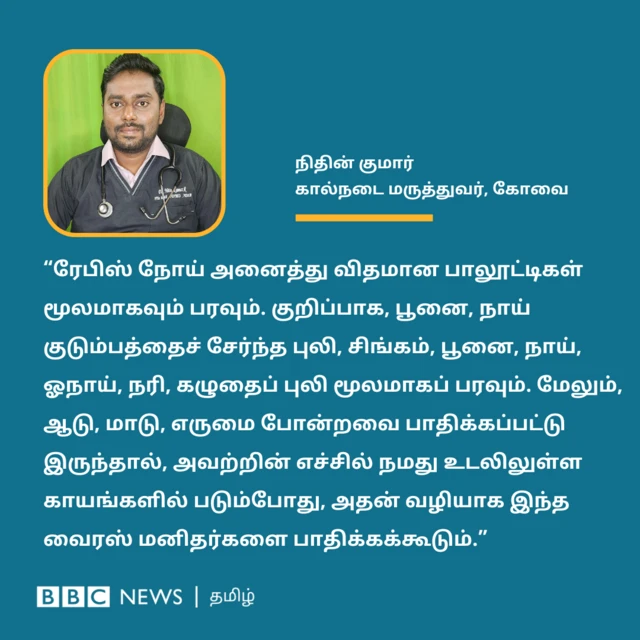 “ரேபிஸ் நோய் அனைத்து விதமான பாலூட்டிகள் மூலமாகவும் பரவும். குறிப்பாக, பூனை மற்றும் நாய் குடும்பத்தைச் சேர்ந்த புலி, சிங்கம், பூனை, நாய், ஓநாய், நரி, கழுதைப் புலி ஆகியவை மூலமாகப் பரவும். அதோடு, கால்நடைகளான ஆடு, மாடு, எருமை ரேபிஸால் பாதிக்கப்பட்டு இருந்தால், அவற்றின் எச்சில் நமது உடலிலுள்ள காயங்களில் படும்போது, அதன் வழியாக இந்த வைரஸ் மனிதர்களை பாதிக்கக்கூடும்” என்று விளக்கினார் கால்நடை மருத்துவர் நிதின் குமார்.