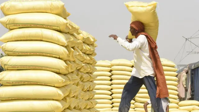 ગુજરાતમાં ખાતર, ખેતી, બીબીસી ગુજરાતી, મગફળી, કપાસ, જીરું, ગુજરાતના પાકો