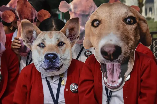 পথ কুকুরদের সরিয়ে দেওয়ার নির্দেশের বিরুদ্ধে কলকাতায় কুকুরের মুখোশ পরে বিক্ষোভ দেখাচ্ছে স্কুল ছাত্রীরা