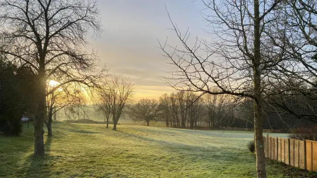 Un campo de hierba salpicado de árboles y con un toque de escarcha está dominado por un sol bajo.
