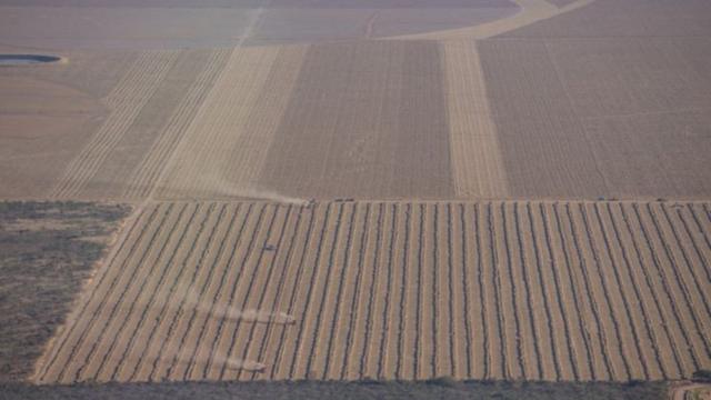 Agropecuária no Cerrado