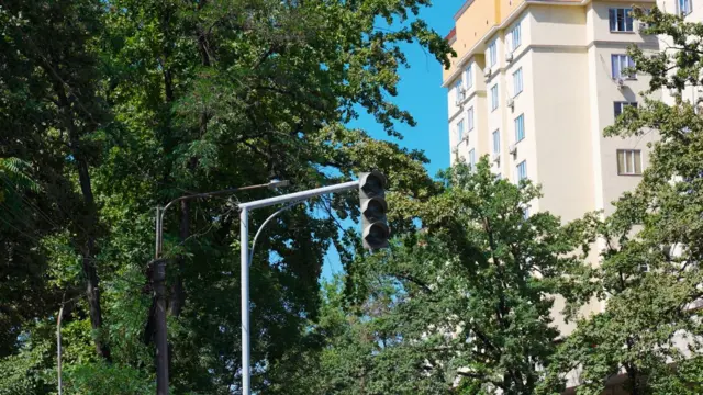 жолчырак 
