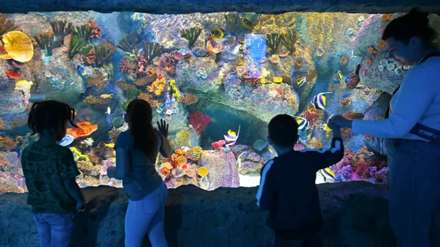 Pour de nombreuses personnes, l'autisme fait partie du large spectre de l'expérience humaine - et n'est pas un problème à traiter