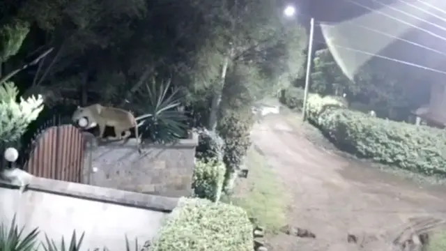 Ingo ziri hafi ya 'park' y'igihugu ntizorohewe n'ibikoko vyo mw'ishamba muri Kenya.