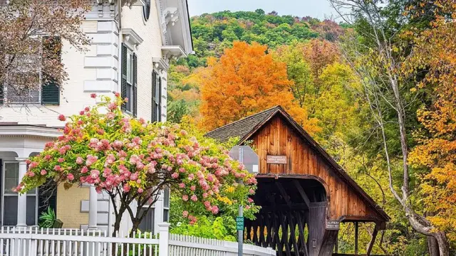 Calle en Woodstock con plantas con flores y árboles con colores otoñales