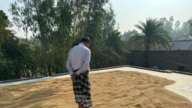 বগুড়াতেও তেমন কুয়াশার দেখা নেই