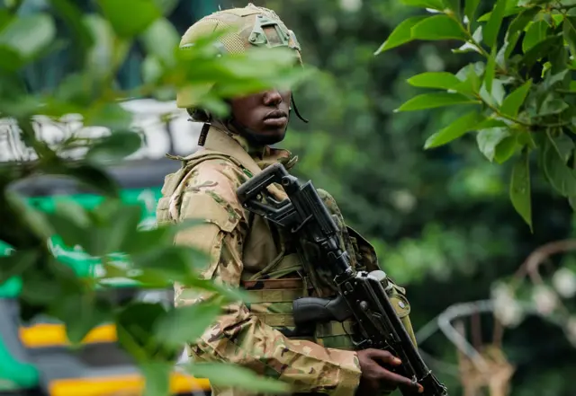 A man dressed in combat fatigues holds his gun. He is partly hidden by foliage.
