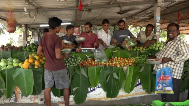 ఉద్యాన పంటలు
