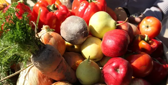 Иммунитет үчүн туура тамактануу өтө маанилүү