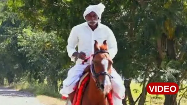 గుర్రం స్వారీ 