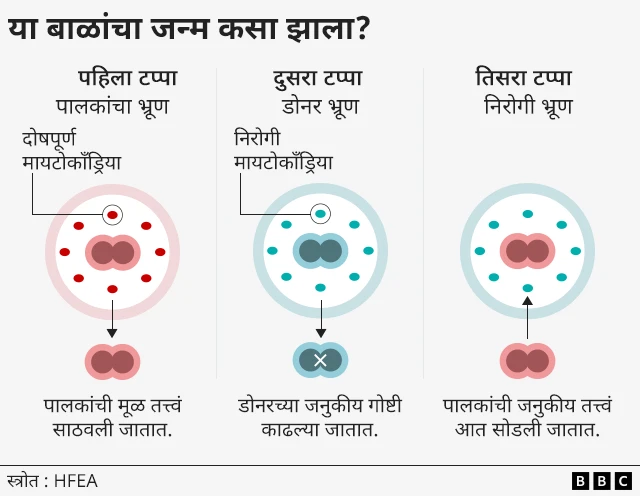 3 DNA babies technique