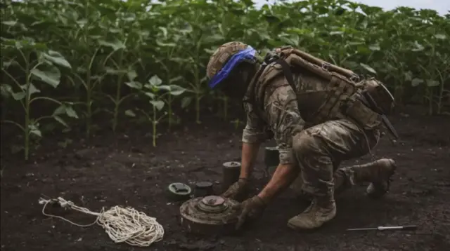 이른바 수로비킨 라인은 세계에서 가장 크고 가장 밀집된 지뢰밭으로 구성돼 있다