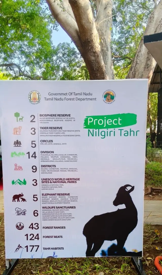 நீலகிரி வரையாடுகள், வரையாடு சிறப்புத் திட்டம்