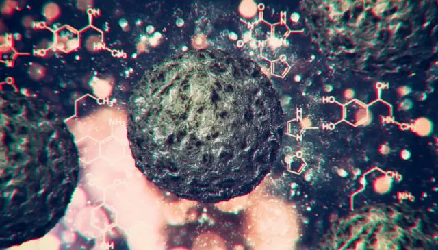 प्रतिकात्मक छायाचित्र