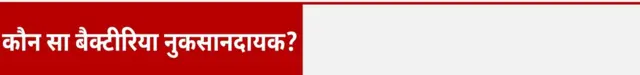 कौन सा बैक्टीरिया नुकसानदायक?