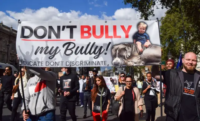 مسيرة احتجاج في بريطانيا اعتراضا على حظر كلاب "إكس أل بولي"