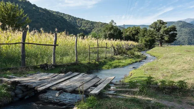 मनमोहक दृश्य 