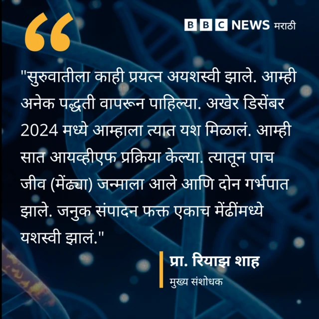 ग्राफिक्स