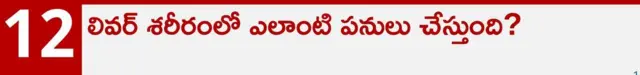 ఫ్యాటీ లివర్, ఆరోగ్యం, కాలేయం, మద్యం అలవాటు