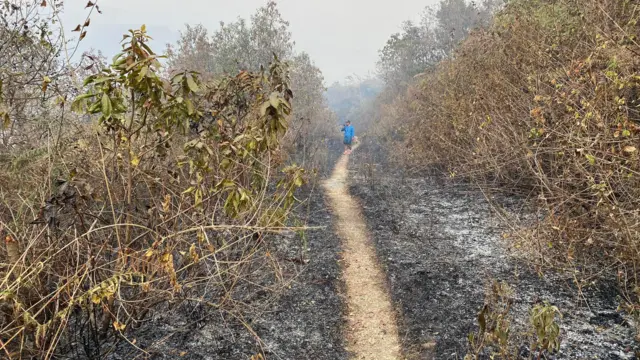 पोखरा आगलागी