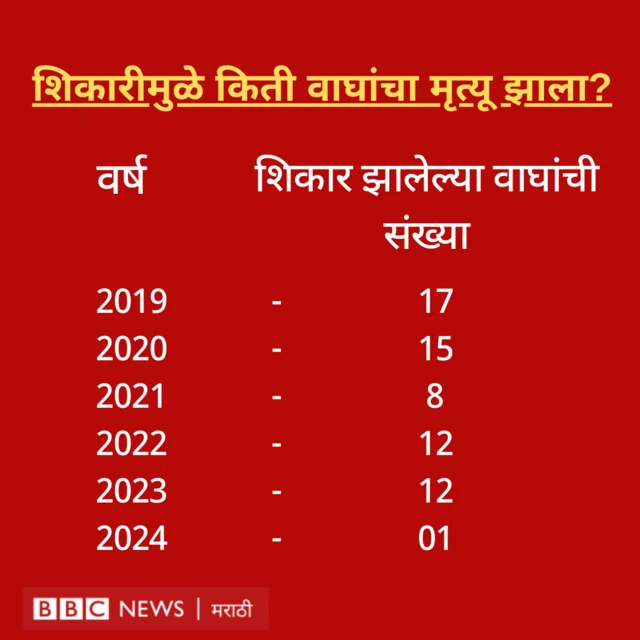 ग्राफिक्स