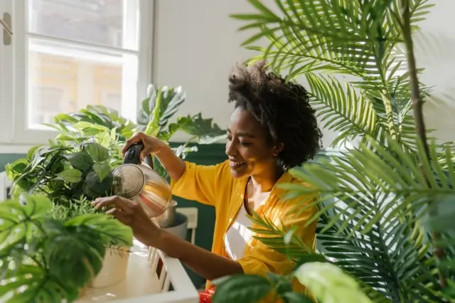 Pessoa cuidando de plantas