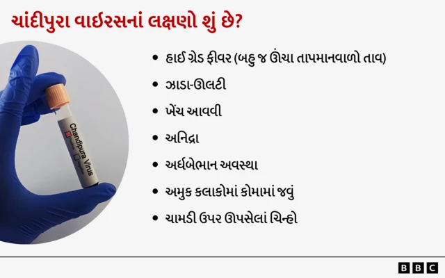 ચાંદીપુરા વાઇરસનાં લક્ષણો
