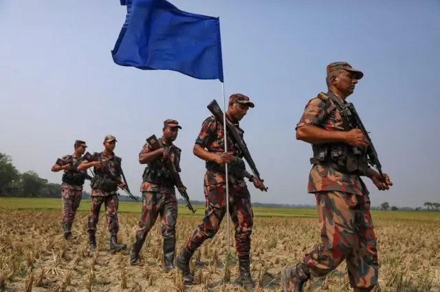 বাংলাদেশের যশোর জেলার বেনাপোলের সাদিপুর সীমান্ত এলাকায় ধানক্ষেতের ওপর দিয়ে পায়ে হেঁটে টহল দিচ্ছেন বিজিবি সদস্যরা