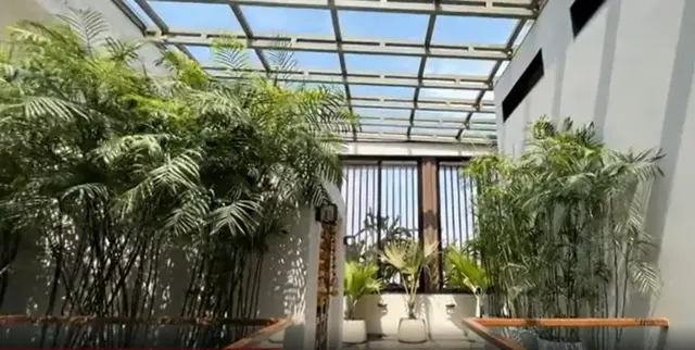 સુરતમાં આ વ્યક્તિએ ઘરની અંદર જ ઊભું કર્યું જંગલ,ઘરમાં જ ઊગાડ્યા છે 900 ઝાડ