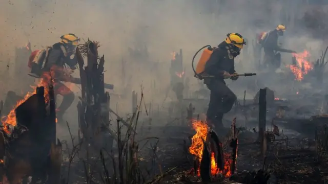 Firefighters battle blazes for di Amazon