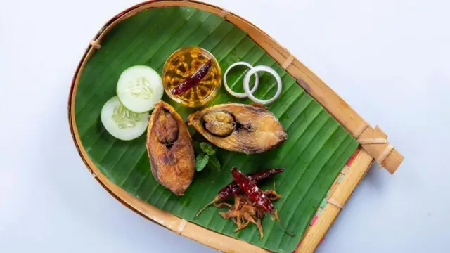 బంగ్లాదేశ్, హిల్సా డిప్లొమసీ, షేక్ హసీనా