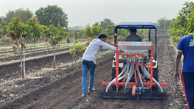 સૌરાષ્ટ્રમાં મગફળીનું વાવેતર અને ઉત્પાદન, ગિરનાર 4 બિયારણ ક્યાં મળે, ગિરનાર 4ની વધુ માગ કેમ છે, ગિરનાર 4માં ઉત્પાદન વધુ મળે, જીજી 39 સારું કે ગિરનાર 4, બીબીસી ગુજરાતી, બીબીસી ન્યૂઝ