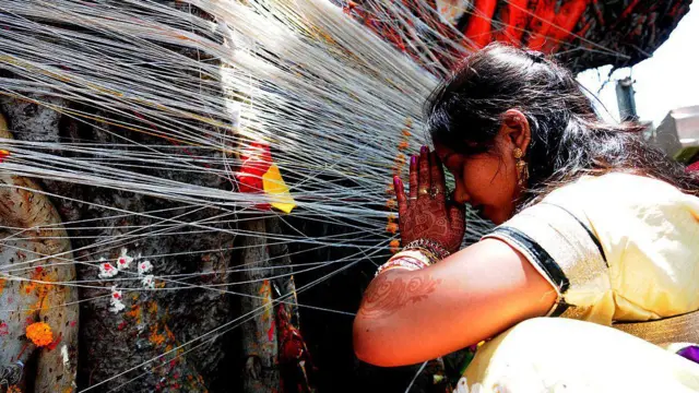 કબીરવડ, કબીર, વડલો, ભરૂચ, નર્મદા, ગુજરાત, ટૂરિઝમ, પર્યટન, પ્રવાસ