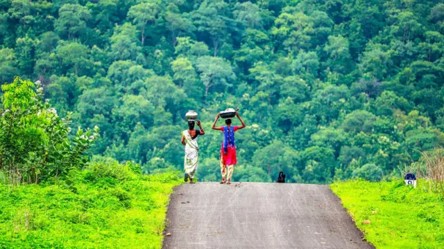 అటవీ ఉత్పత్తుల సేకరణ కోసం వెళ్తున్న ఆదివాసీ మహిళలు