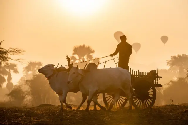 ညောင်ဦးမြို့နယ်က တောင်သူတစ်ယောက် (ပုံဟောင်း)