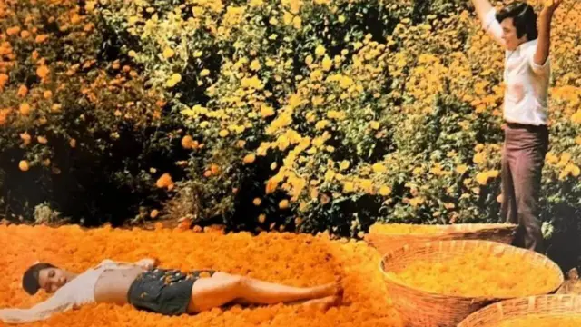 बॉबी चित्रपटातलं एक दृश्य 