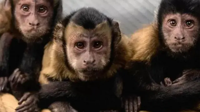 प्रातिनिधीक फोटो