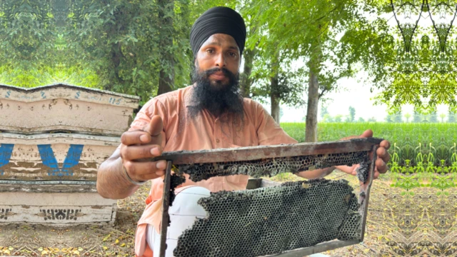 ਮਧੂਮੱਖੀ ਪਾਲਕ ਸਤਪਾਲ ਸਿੰਘ