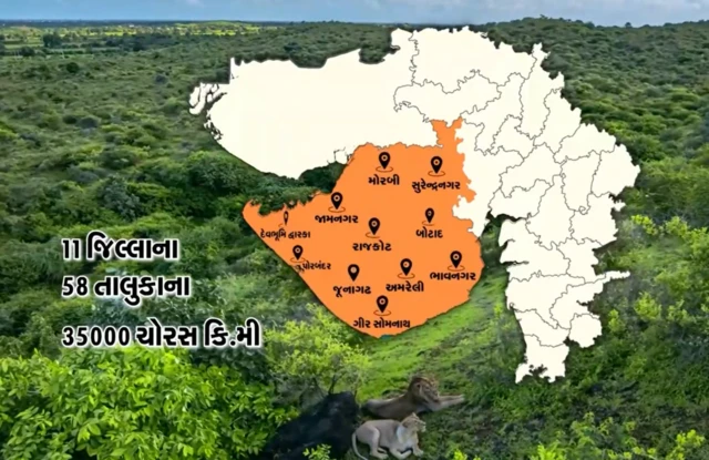 બીબીસી ગુજરાતી સિંહ વસતી ગણતરી ગુજરાત એશિયાટિક લાયન સાસણ ગીર ફોરેસ્ટ