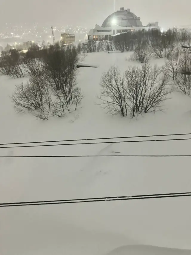 Фотография ночного города, много снега, который доходит до середины стволов деревьев.