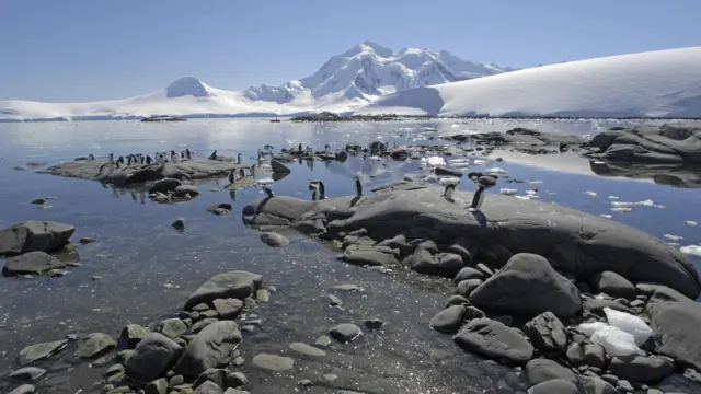 एन्टार्क्टिकको पुरानो तस्बिर