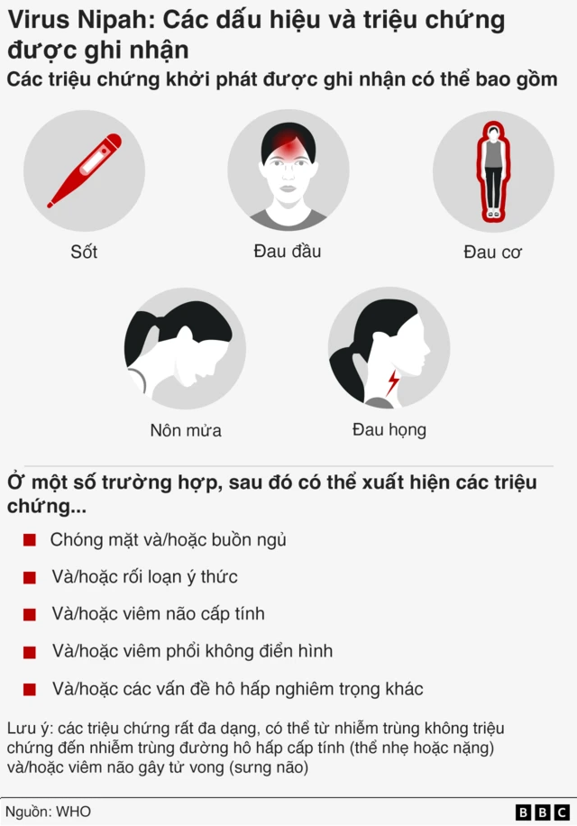 Triệu chứng nhiễm virus Nipah 