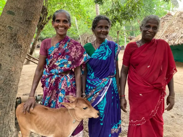 அருகி வரும் நாட்டு குட்டை மாடுகள்