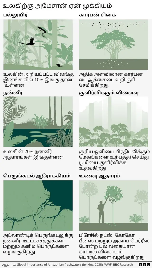 அமேசான் உலகிற்கு ஏன் முக்கியம்?