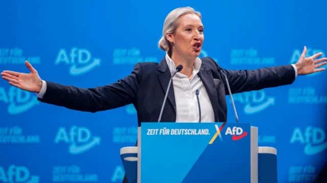 آلیس وایدل در حال سخنرانی دست‌هایش را باز کرده پشت او صفحه آبی رنگ تبلیغاتی است