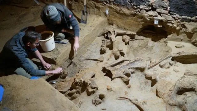 म्यामथको हड्डी उत्खनन गर्दै पुरातत्त्वविद्हरू
